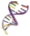 image_dna.gif