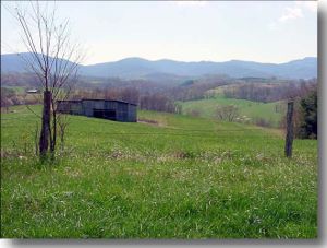 Alleghany County