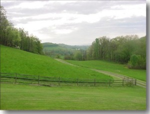 Alleghany County