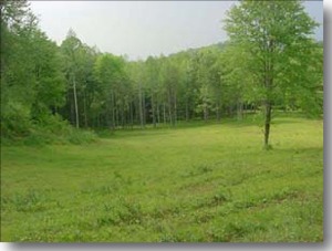 Alleghany County