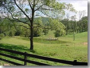 Alleghany County