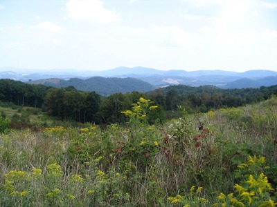 View from Cheek Mountain