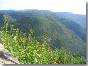 Wildcat Rocks Overlook from the Blue Ridge Parkway