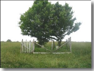 William Cheek Cemetery