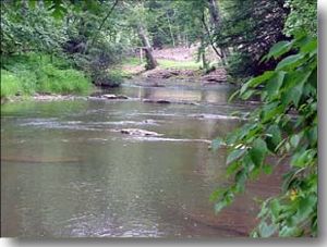 Alleghany Co., NC