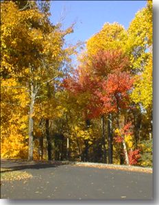 Fall colors on the Blue Ridge Parkway
