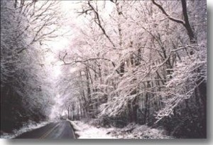 Winter on the Blue Ridge Parkway