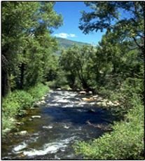 South Carolina mountain river