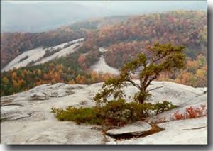 Stone Mountain fall colors