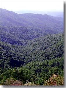 Wildcat Rock Overlook