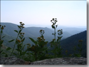 Wildcat Rocks Overlook
