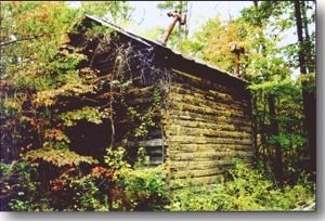 Log Cabin