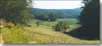 The Yadkin Valley